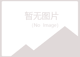 夏河县忆伤美容有限公司